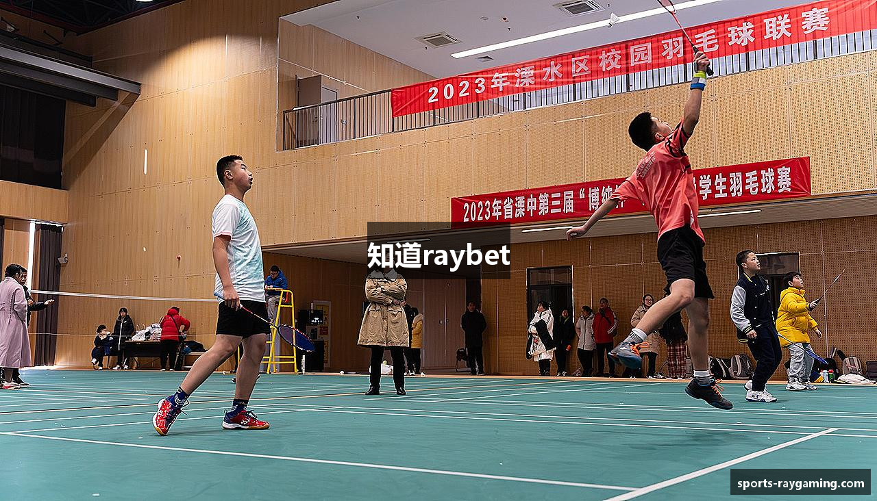 知道raybet